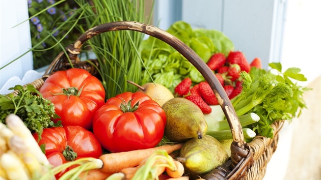 Ilustra�ní snímek