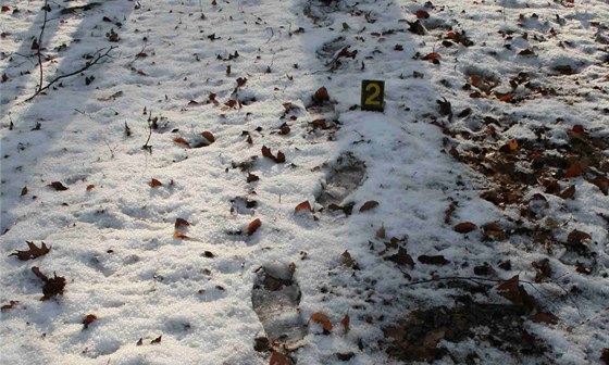 Pachatele prozradily ještě "teplé" stopy ve sněhu. (Ilustrační snímek)