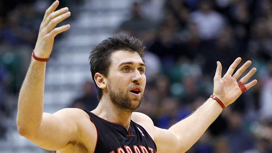 Andrea Bargnani z Toronta