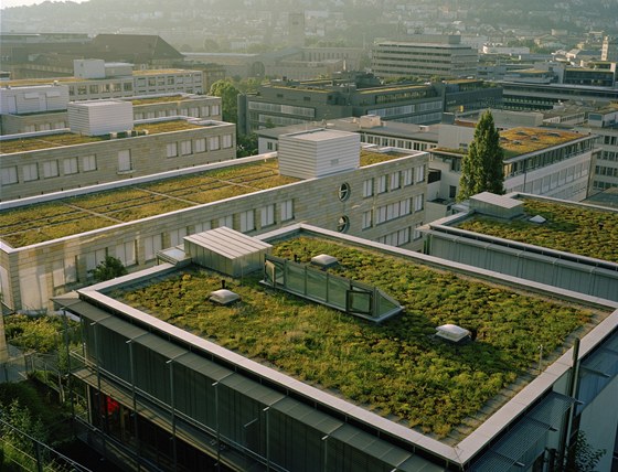 Zelené stechy ve Stuttgartu v Nmecku.