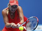 OSMIFINÁLE. Svtová jednika Carolina Wozniacká postoupila na Australian Open v