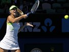 SÍLA. Maria arapovová v semiifnálovém utkání Australian Open proti  Pete