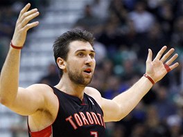 Andrea Bargnani z Toronta