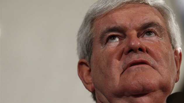 Vítz republikánských primárek v Jiní Karolin Newt Gingrich