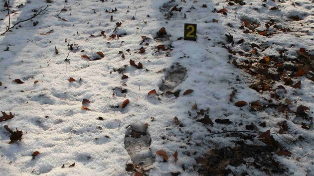 Stopy vraha, který utíkal z domu zabité staenky v Týniti nad Orlicí. 
