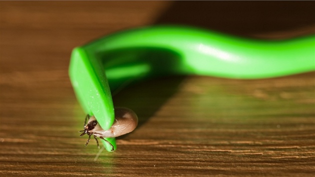 Zakousnuté klí�t� byste m�li vyviklat nebo vytáhnout, ne kroutit. Podle