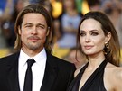 Brad Pitt a Angelina Jolie (2014)