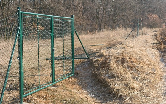 Naerno postavený plot ve Stelicích u Brna nkdo z ásti zboural (1. února