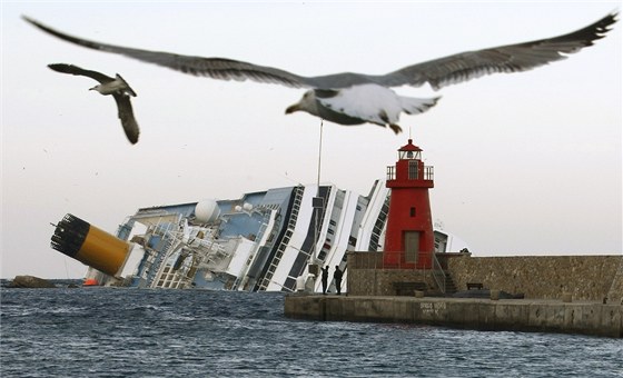 Rackové létají kolem vraku lodi Costa Concordia u ostrova Giglio. (30. ledna 2012)