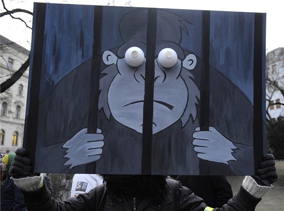 Protestující na páteční demonstraci v Bratislavě drží obrázek s gorilou ve