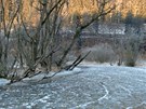 Zaátek pehrady Bezová, kde vodohospodái plánují kácet nemocné stromy a musí...