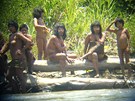 lenové kmene Mashco-Piro hledí ze behu eky Alto Madre de Dios v Peru na...