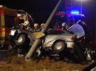 Hasii a záchranái vyjeli ve stedu veer k nehod vozu BMW v Ostrav-Zábehu.