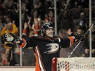 U HO SKORO MM. Teemu Selnne svj Anaheim proti Columbusu k vhe nedovedl,...