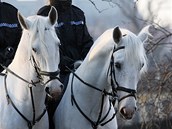 Strážníci městské policie na koních.