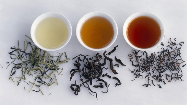 Ilustra�ní fotogalerie