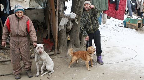 Mnozí bezdomovci nechtjí do azylových dom i kvli svým psm, nechtjí je opustit.