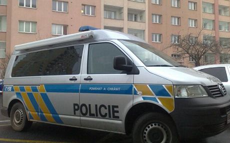 Policie asto vyetuje krádee z parkovi nákupních center. (ilustraní snímek)