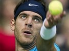 PODÁVÁM. Argentinský tenista Juan Martin del Potro ve finále turnaje Rotterdamu.