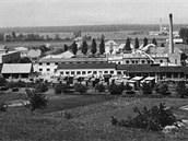 Arel firmy TON v Uherskm Hraditi na snmku z 50. let