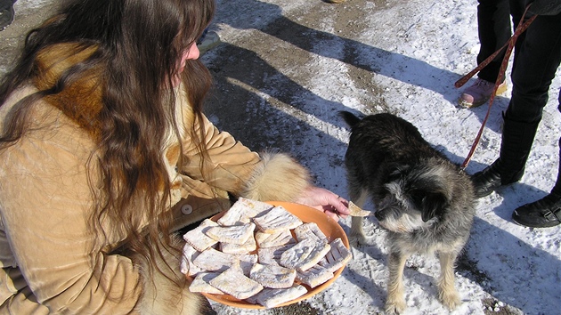 Masopust v Příložanech na Třebíčku má bohatou tradici. Na křehotinách (v cukru obalované pečivo) si pochutnával i pes.