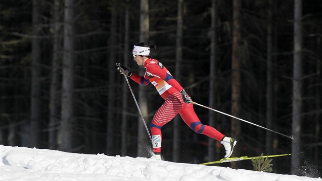 CESTA ZA PRVNM MSTEM. Norsk bkyn na lych Marit Bjrgenov si v Novm Mst na Marov jede pro triumf v zvod na 15 kilometr.