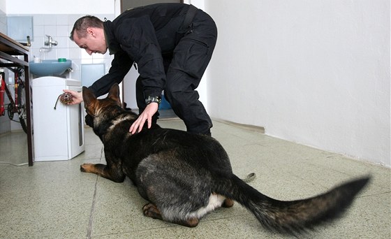 Instruktor výcviku vojenské policie Martin Pech s tříletým německým ovčákem