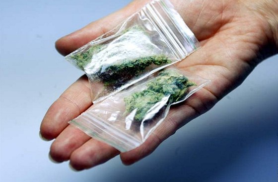Podle návrhu ministerstva spravedlnosti, který dnes vláda neschválila, má být od Nového roku trestné drení více ne 15 gram suené marihuany.