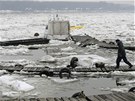 Led na Dunaji povolil a kry poniily desítky lodí (20. února 2012)