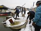 Led na Dunaji povolil a kry poniily desítky lodí (20. února 2012)