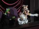abák Kermit a slena Piggy napjat sledují vyhlaování výsledk. Snímek...