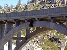 Medvd balancoval na hran mostního oblouku ve výce skoro 30 metr.