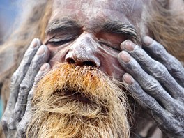 Sandhu si potírá obliej prachem bhem festivalu ivaratri, který patí mezi...