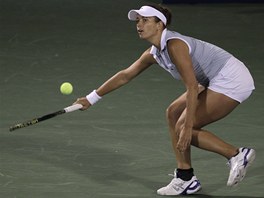 Petra Cetkovsk na turnaji v Dubaji