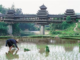 cheng-jangský most neboli Most vtru a det, stojící na ece Lin-si-iang v...