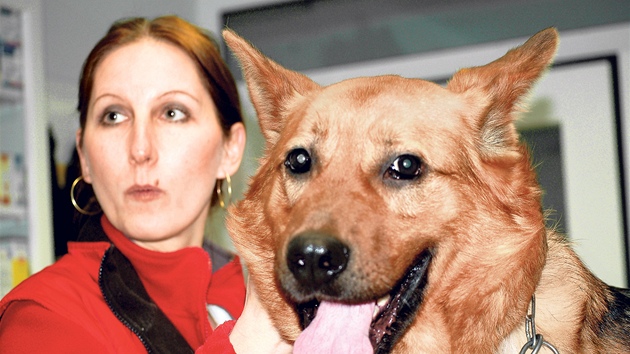 Zv�roléka�ka Zuzana Ma�ková se psem Burtonem. P�í�tí týden u� bude Burton moci