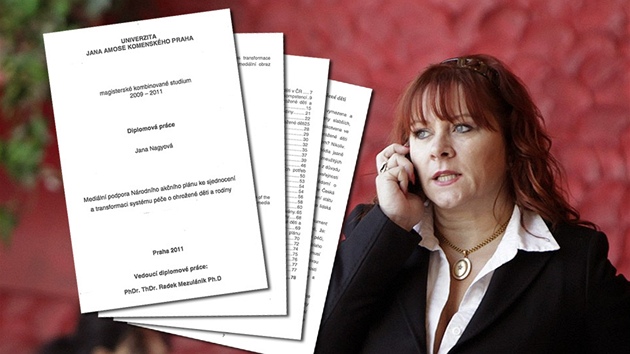 Diplomová práce Jany Nagyové