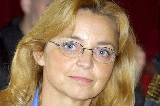 edesátiletá Horníková psobí ve Snmovn jako místopedsedkyn kontrolního výboru.