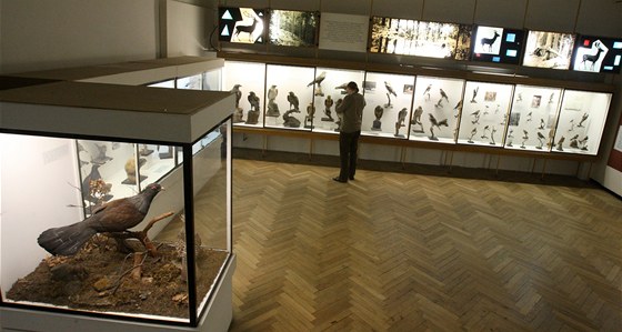 Jihočeské muzeum v Českých Budějovicích uzavře první patro se stálými