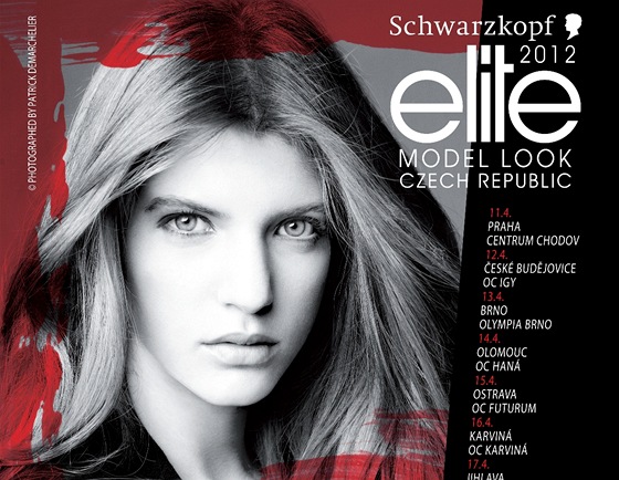 Schwarzkopf Elite Model Look 2012