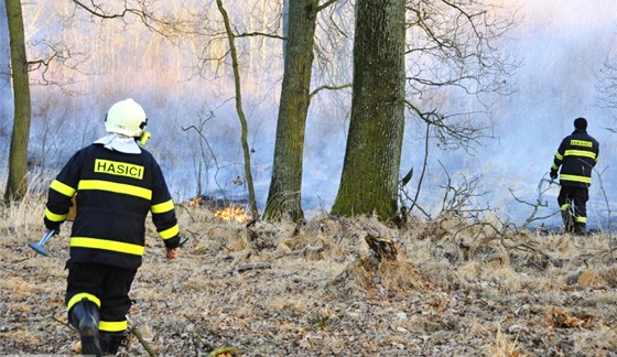 U Grygova na Olomoucku hoelo zhruba osm hektar lesního porostu a suché trávy,