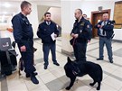 Policisté vetn psovoda prohledávali budovu Krajského soudu v Ostrav. Bombu