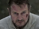 Liam Neeson ve filmu mezi vlky. 