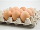 Na omeletku si radji nechte zajít chu. Cena vajec skoila o 80 procent nahoru.