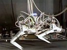 Nejrychleji bící tynohý robot Cheetah od spolenosti Boston Dynamics