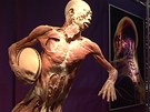 Výstava Human Body