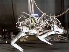 Nejrychleji běžící čtyřnohý robot Cheetah od společnosti Boston Dynamics