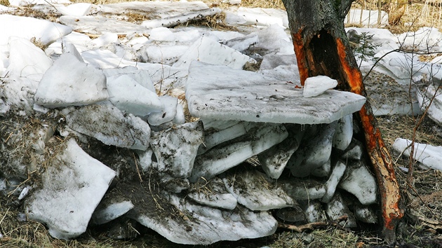 Ledové kry poničily u řeky Teplé několik set stromů, stav na toku u silnice směr Mariánské lázně před odbočkou na Otročín.