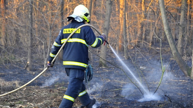 U Grygova na Olomoucku hoelo zhruba osm hektar lesnho porostu a such trvy, na mst zasahovaly tyi jednotky hasi.