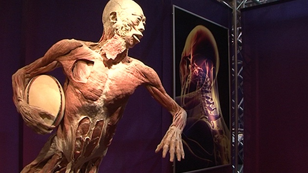 Výstava Human Body